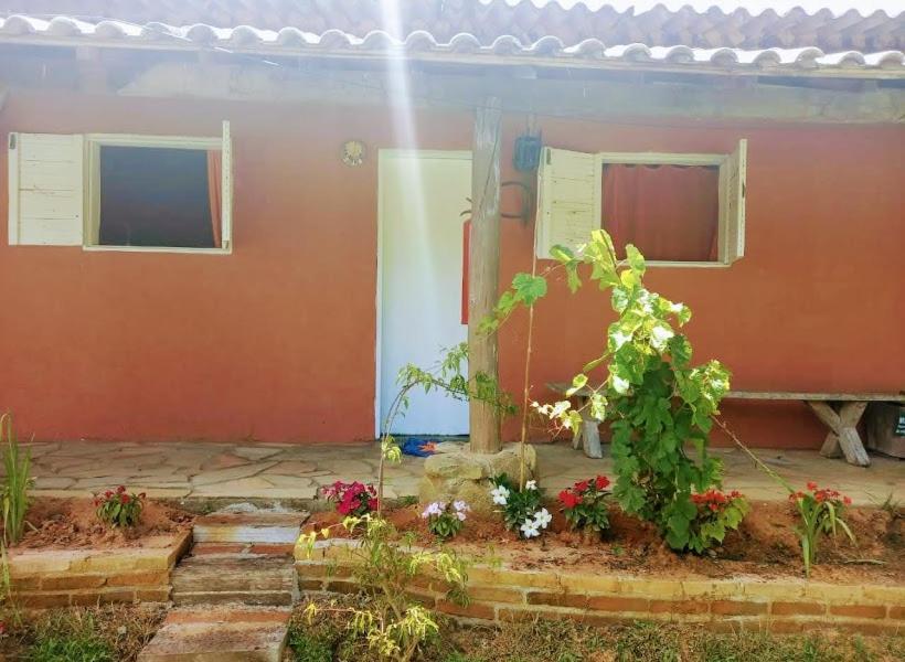 Apartamento Standard